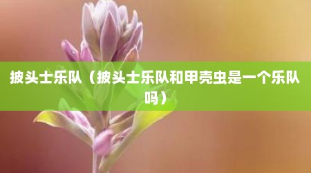 披头士乐队（披头士乐队和甲壳虫是一个乐队吗）