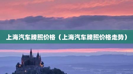上海汽车牌照价格（上海汽车牌照价格走势）