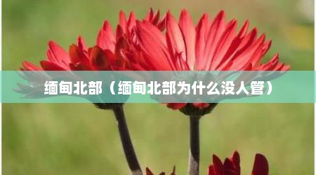 缅甸北部（缅甸北部为什么没人管）