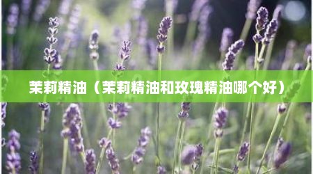 茉莉精油（茉莉精油和玫瑰精油哪个好）