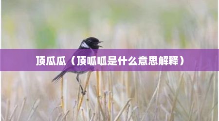 顶瓜瓜（顶呱呱是什么意思解释）