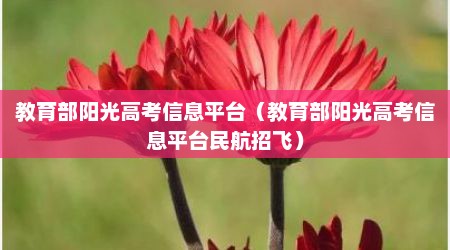 教育部阳光高考信息平台（教育部阳光高考信息平台民航招飞）