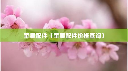 苹果配件（苹果配件价格查询）