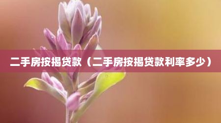 二手房按揭贷款（二手房按揭贷款利率多少）