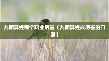 九阴真经那个职业厉害（九阴真经最厉害的门派）