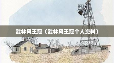 武林风王冠（武林风王冠个人资料）