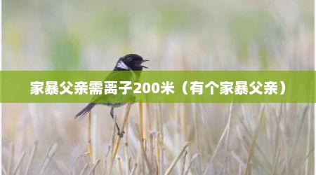 家暴父亲需离子200米（有个家暴父亲）