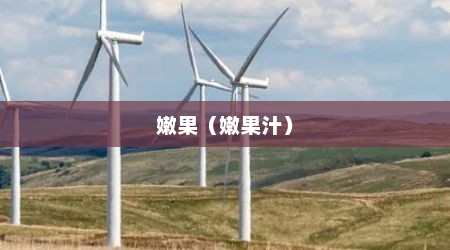 嫩果（嫩果汁）