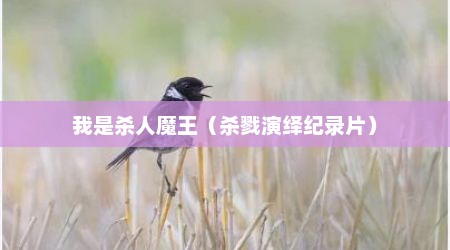 我是杀人魔王（杀戮演绎纪录片）