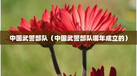 中国武警部队（中国武警部队哪年成立的）