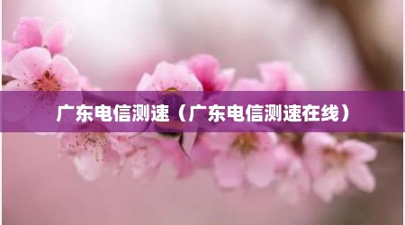 广东电信测速（广东电信测速在线）