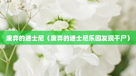 废弃的迪士尼（废弃的迪士尼乐园发现干尸）