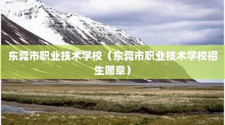 东莞市职业技术学校（东莞市职业技术学校招生简章）