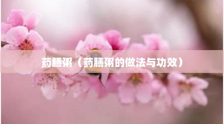 药膳粥（药膳粥的做法与功效）