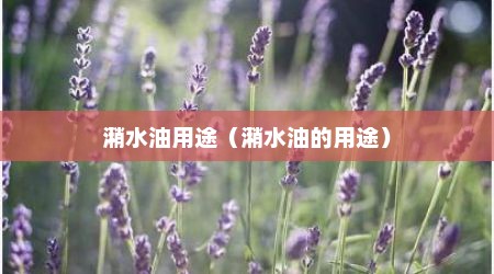 潲水油用途（潲水油的用途）