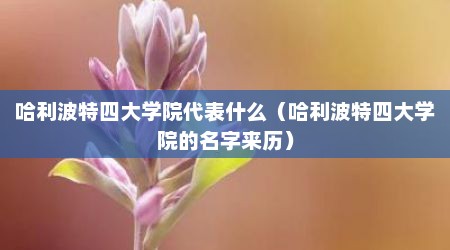 哈利波特四大学院代表什么（哈利波特四大学院的名字来历）