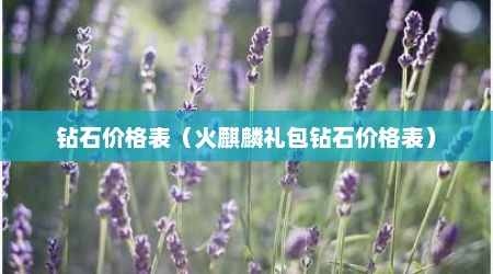 钻石价格表（火麒麟礼包钻石价格表）