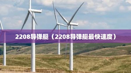 2208导弹艇（2208导弹艇最快速度）