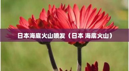 日本海底火山喷发（日本 海底火山）