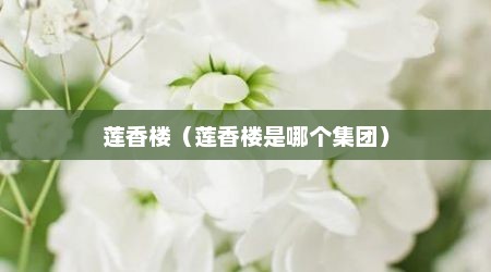 莲香楼（莲香楼是哪个集团）