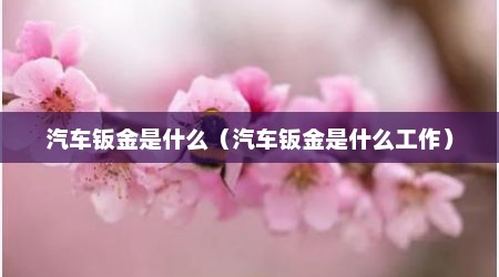 汽车钣金是什么（汽车钣金是什么工作）
