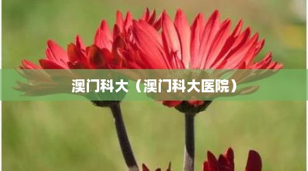 澳门科大（澳门科大医院）