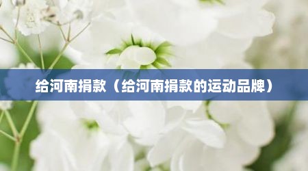 给河南捐款（给河南捐款的运动品牌）
