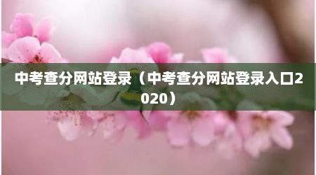 中考查分网站登录（中考查分网站登录入口2020）