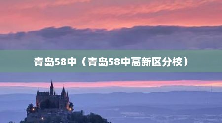 青岛58中（青岛58中高新区分校）