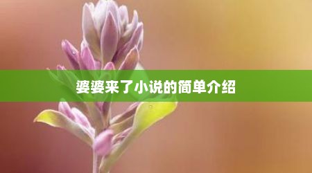 婆婆来了小说的简单介绍
