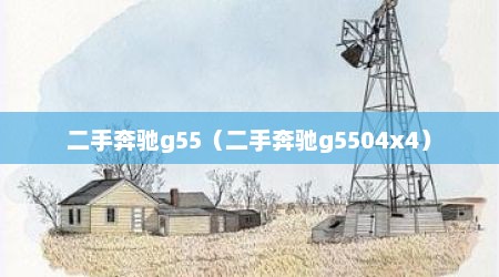 二手奔驰g55（二手奔驰g5504x4）