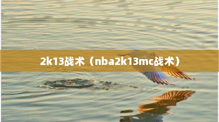 2k13战术（nba2k13mc战术）