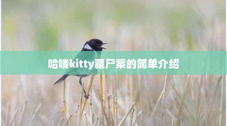 哈喽kitty藏尸案的简单介绍