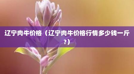 辽宁肉牛价格（辽宁肉牛价格行情多少钱一斤?）