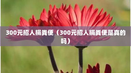 300元招人捐粪便（300元招人捐粪便是真的吗）