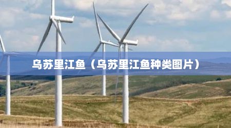乌苏里江鱼（乌苏里江鱼种类图片）