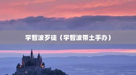 宇智波歹徒（宇智波带土手办）