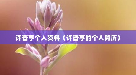 许晋亨个人资料（许晋亨的个人简历）