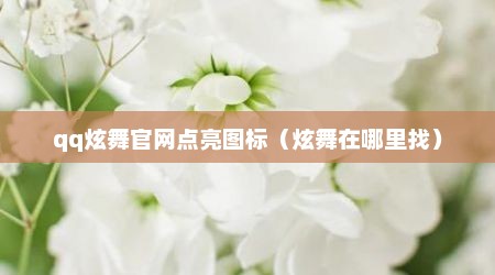 qq炫舞官网点亮图标（炫舞在哪里找）