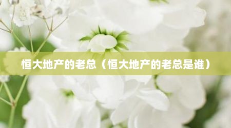 恒大地产的老总（恒大地产的老总是谁）