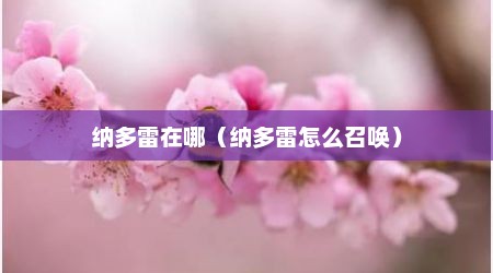 纳多雷在哪（纳多雷怎么召唤）