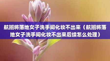 航班将落地女子洗手间化妆不出来（航班将落地女子洗手间化妆不出来后续怎么处理）