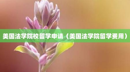 美国法学院校留学申请（美国法学院留学费用）