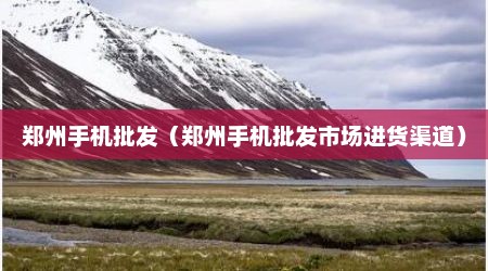 郑州手机批发（郑州手机批发市场进货渠道）