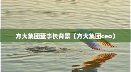 方大集团董事长背景（方大集团ceo）
