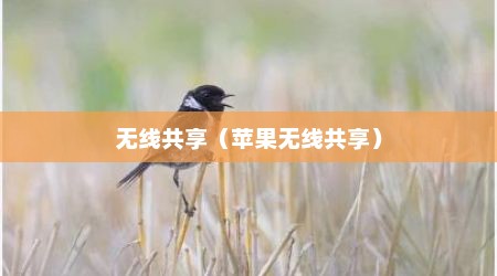 无线共享（苹果无线共享）