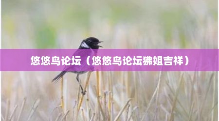 悠悠鸟论坛（悠悠鸟论坛狒姐吉祥）