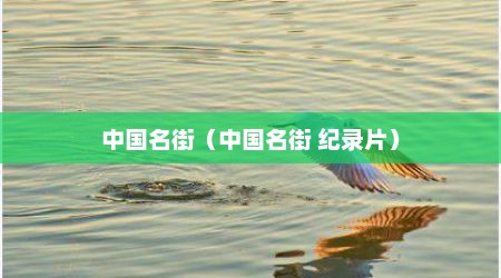 中国名街（中国名街 纪录片）
