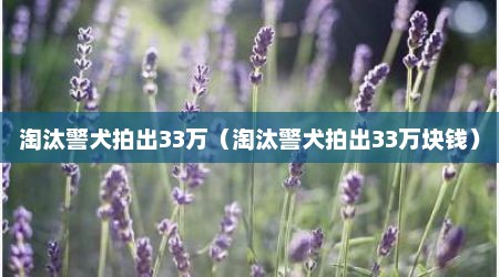 淘汰警犬拍出33万（淘汰警犬拍出33万块钱）