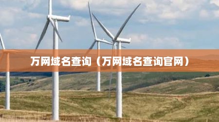 万网域名查询（万网域名查询官网）